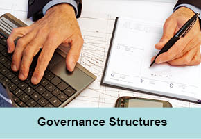 Governance Structures