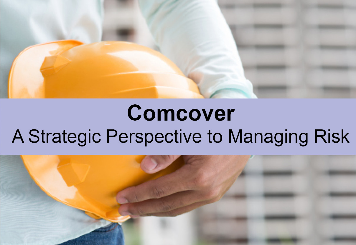 Strategic Perspective to managing risk