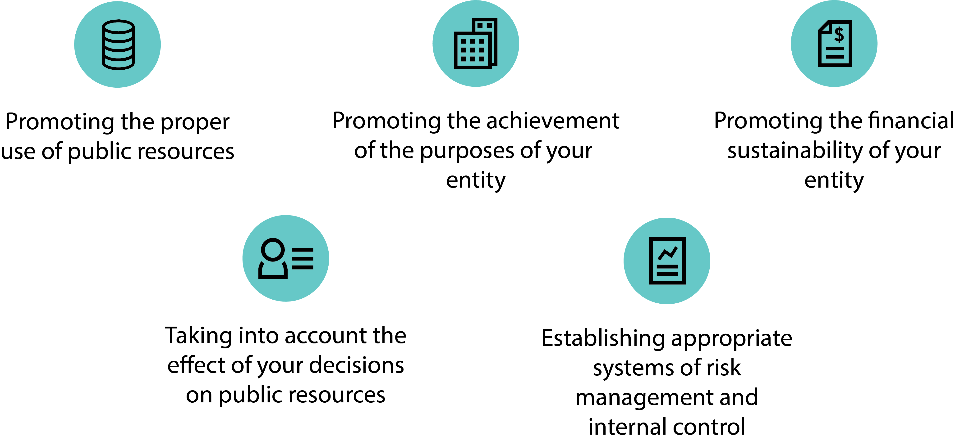 Promoting the proper use of public resources; Promoting the achievement of the purposes of your entity; Promoting the financial sustainability of your entity; Taking into account the effect of your decisions on public resources; and Establishing appropriate systems of risk management and internal control.