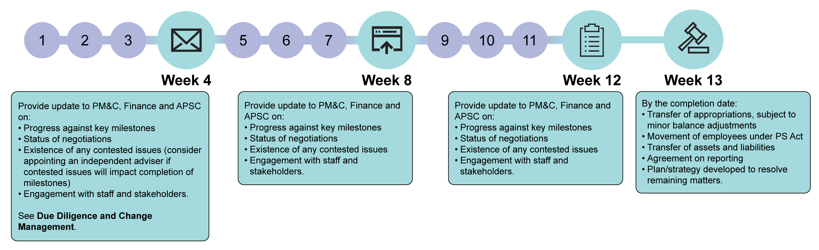 Diagram of key tasks during the 13-week period