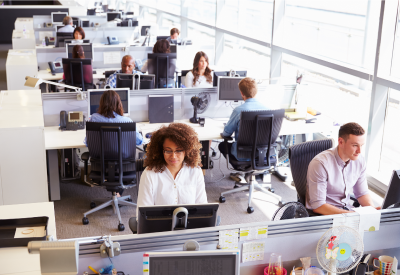 people sitting in an open office working a computers. 