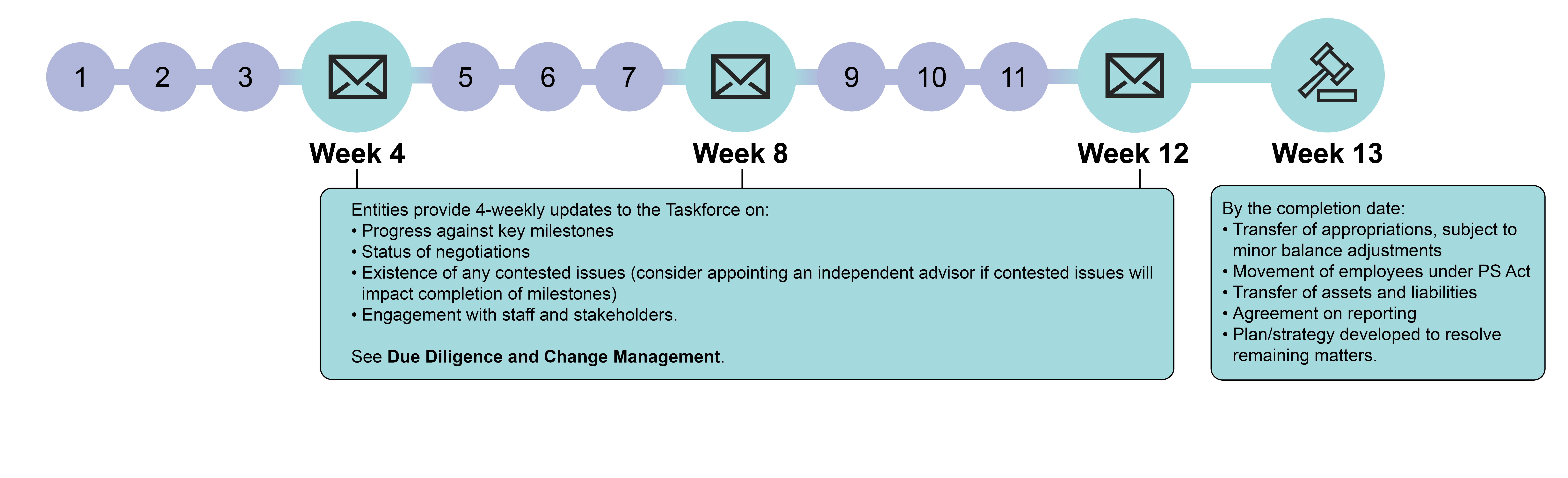 Diagram of key tasks during the 13-week period