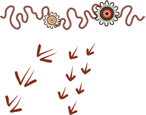 Journey line and kangaroo and emu tracks