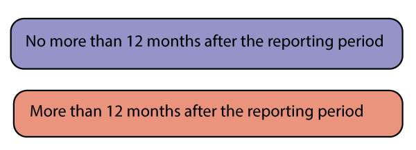 2 boxes saying more or no more than 12 months after the reporting period